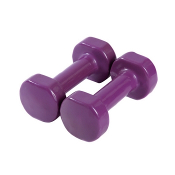 DB001  FLAT END VINYL DIPPING DUMBBELLS