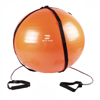 GMN28  EXERCISE BALL SET