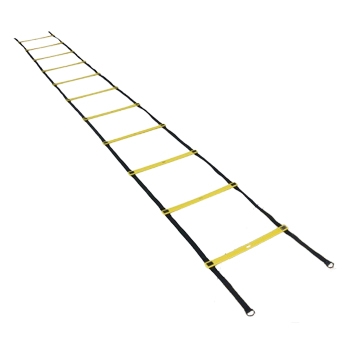 SC011 SINGLE QUICK LADDER